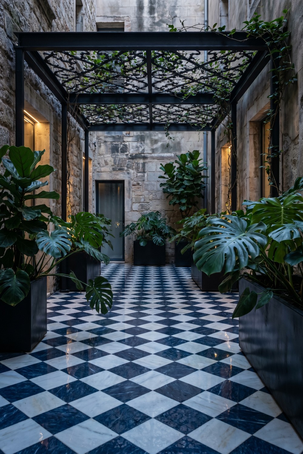 Lush Monstera and checkered tile patio with plants