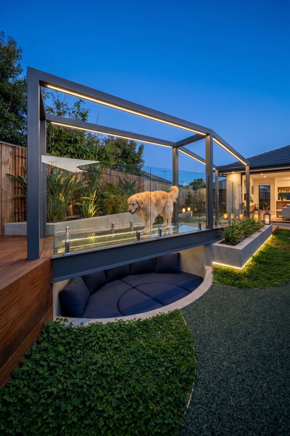 Illuminated Glass Walkway in a Dog Friendly Backyard
