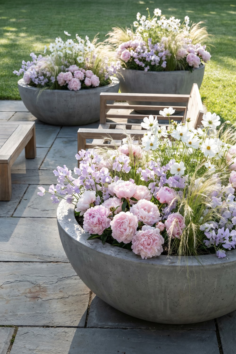 Soft pink peony patio flowers in concrete bowls