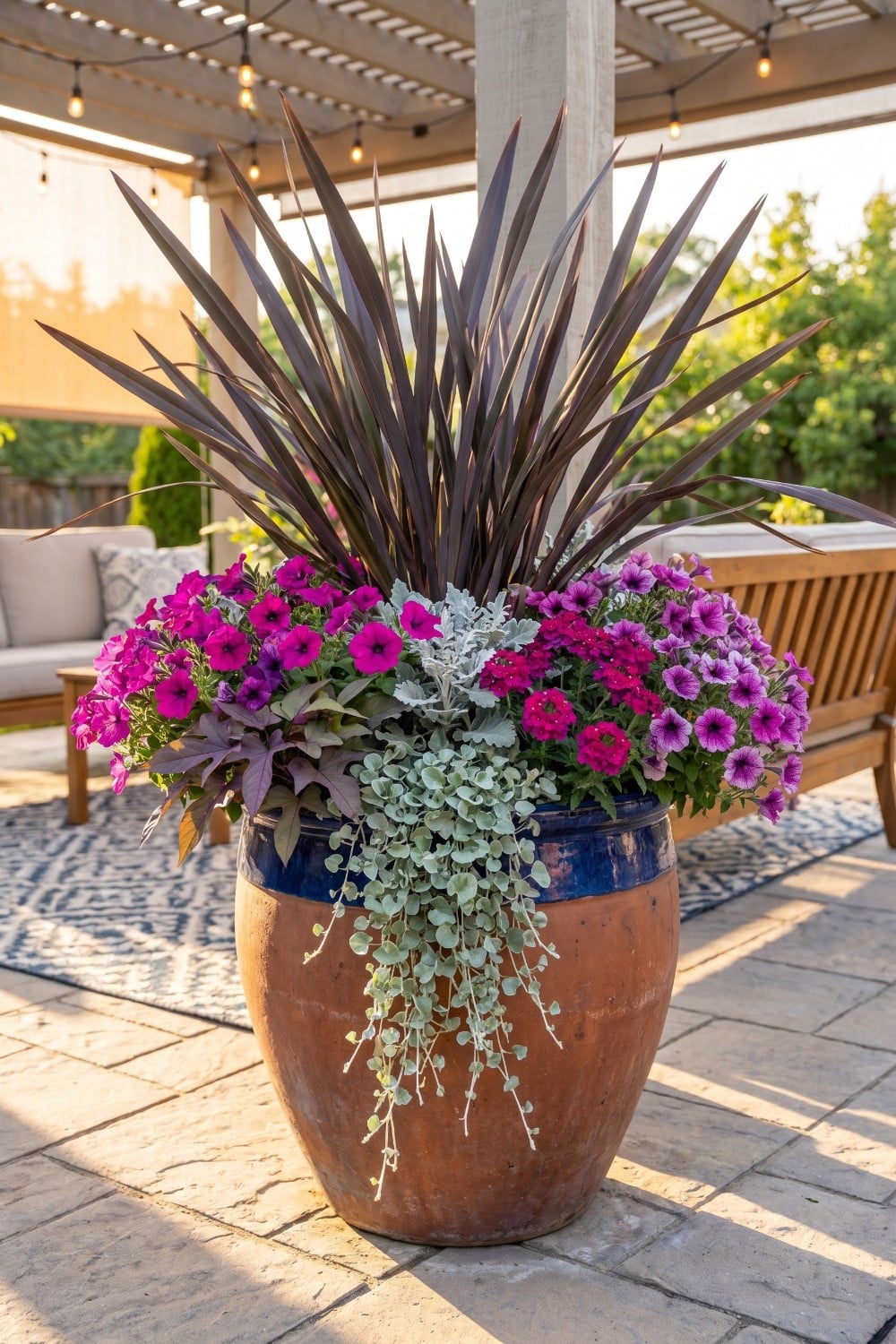 Magenta Patio Flowers and Trailing Silver Vines