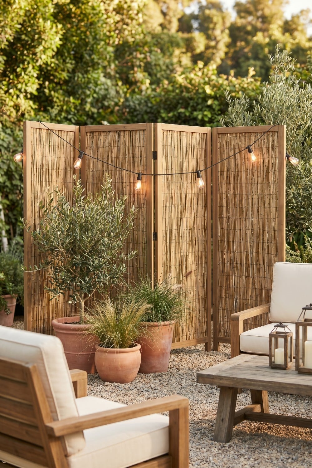 Bamboo Temporary Privacy Fence with Potted Olive Trees